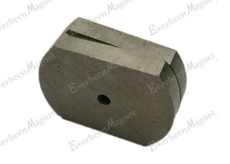 Porcellana Magnete irregolare resistente alla corrosione del Alnico 5 dei magneti permanenti del Alnico dell'automobile fornitore